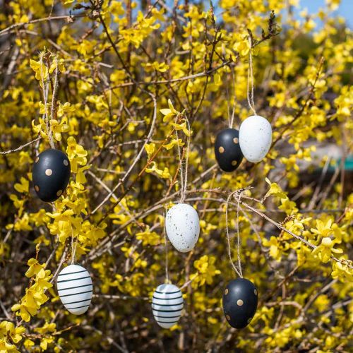 Floristik24 Easter eggs for hanging Black White Gold Assorted H6cm 12pcs