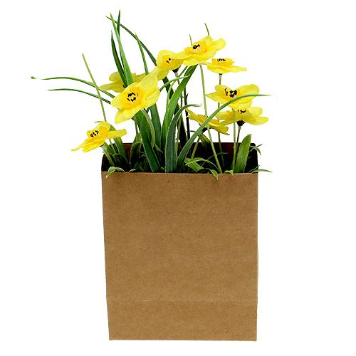 Floristik24 Osterglocke in paper bag yellow H21cm