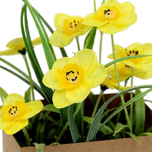 Floristik24 Osterglocke in paper bag yellow H21cm