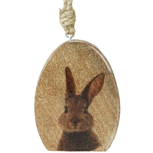 Floristik24 Easter Bunny Egg Hanging Ornament Wood 8×10.5cm 4pcs