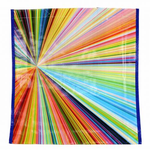 Floristik24 Shopping bag with handles Mikado plastic 37×10×40cm