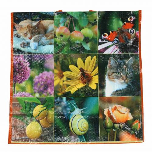Floristik24 Shopping bag with handles picnic plastic 45×20×44cm