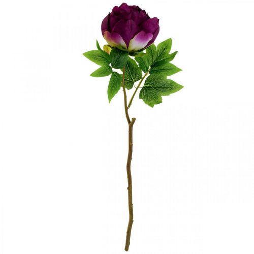 Product Paeonia, artificial peony flower Pink Peonie Ø11cm L45cm