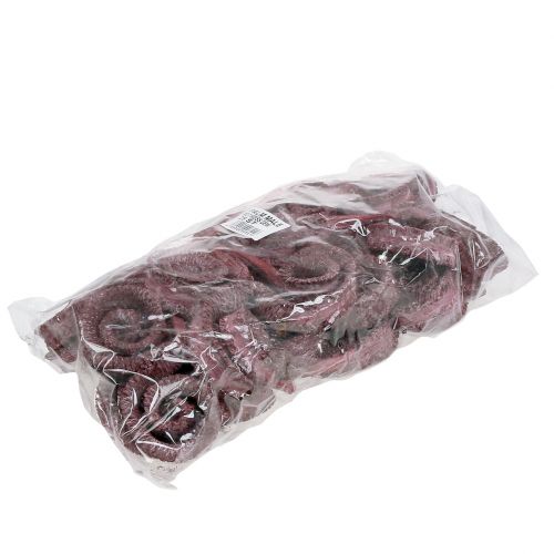 Product Palm Male Red, whitewashed 25 pcs