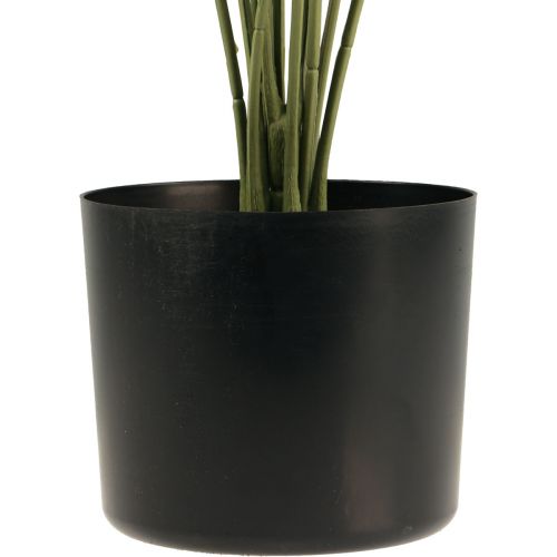 Floristik24 Palm decorative fan palm artificial plants pot green 80cm