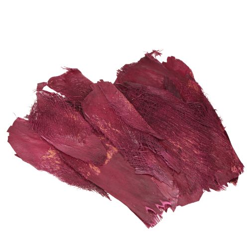 Floristik24 Palm fiber natural decoration natural fiber Berry 25-50cm 250g