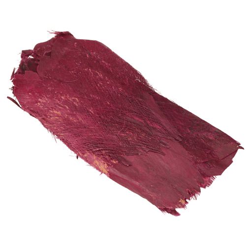Floristik24 Palm fiber natural decoration natural fiber Berry 25-50cm 250g