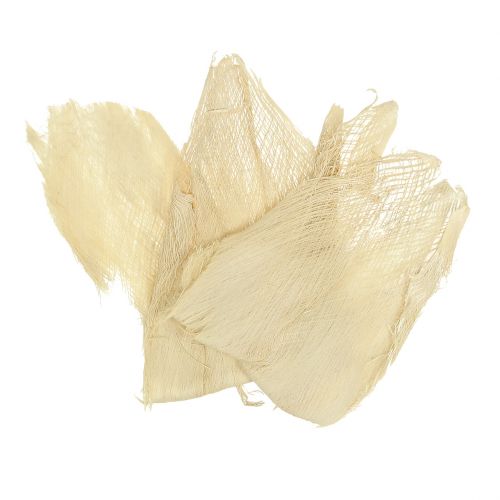 Floristik24 Palm fiber bleached 250g