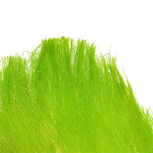 Product Palm fiber pastel light green 400gr