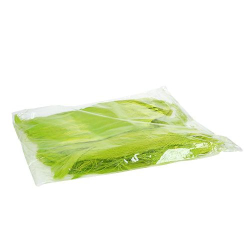Floristik24 Palm fiber pastel light green 400gr