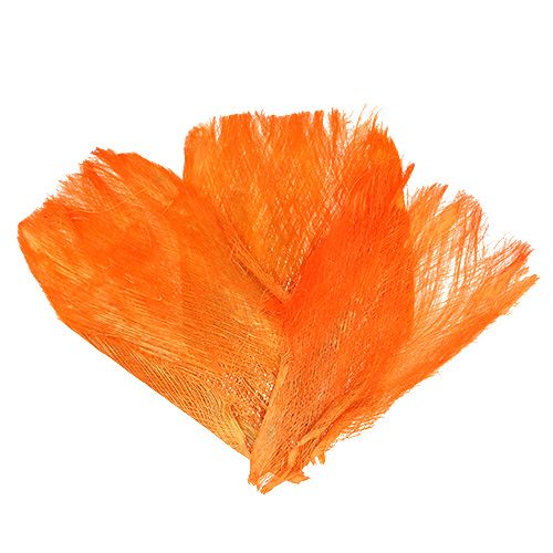 Floristik24 Palm fiber pastel light orange 400gr