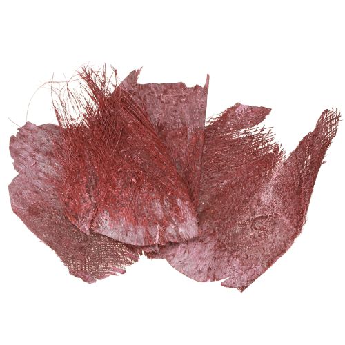 Floristik24 Palm fiber for crafts Bordeaux white washed 20-40cm 250g