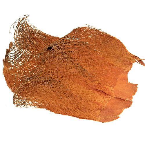 Floristik24 Palm fiber natural 1kg