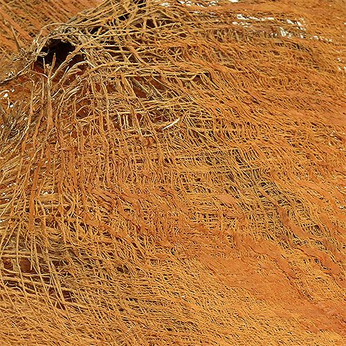Floristik24 Palm fiber natural 1kg