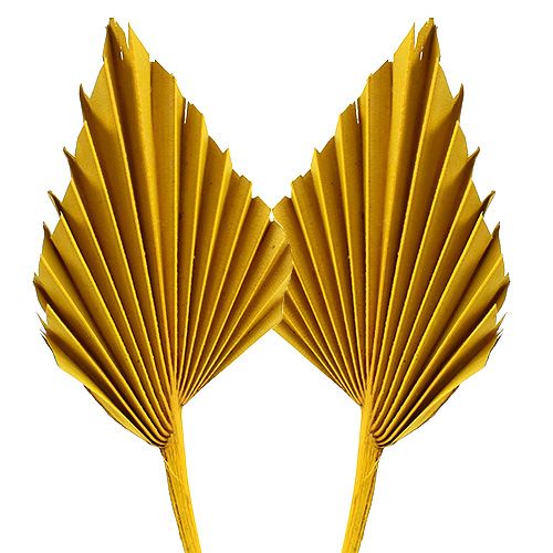 Floristik24 Palmspear Yellow 65 pcs