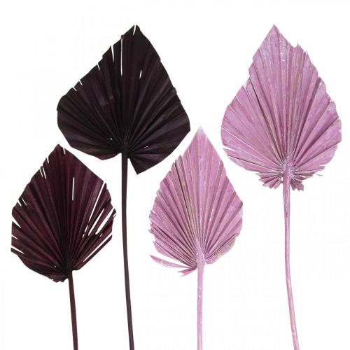 Floristik24 Palmspear Mix Pink Berry, White Washed Memorial Floristry 65 pcs