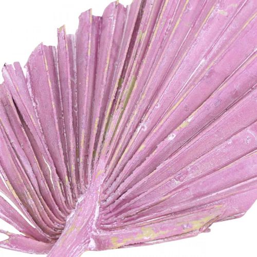Product Palmspear Mix Pink Berry, White Washed Memorial Floristry 65 pcs