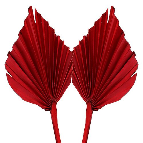 Product Palmspear Red 65 pcs