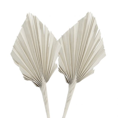 Product Palmspear Mini White Washed 100 pcs