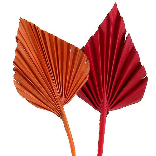 Product Palmspear sorted red/orange 50 pcs