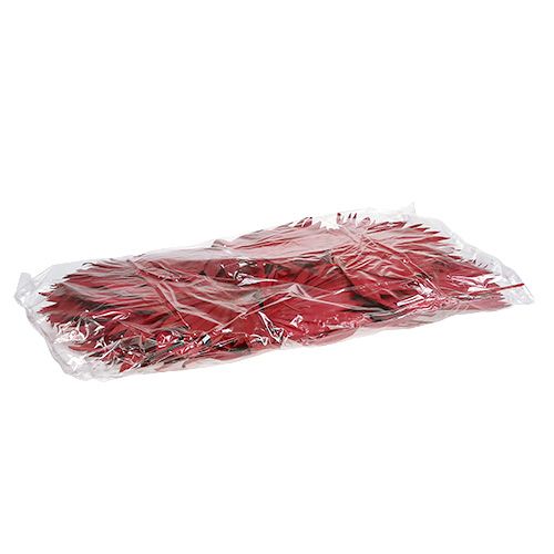 Product Palmspear Sun Red 30 pcs