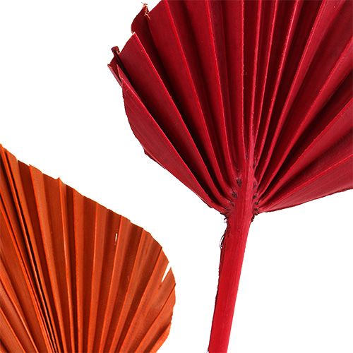 Product Palmspear mini sort. Red/Orange 100pcs