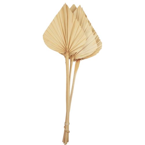 Palmspear Palm Leaves Natural Decoration Bleached 12.5×38cm 4pcs