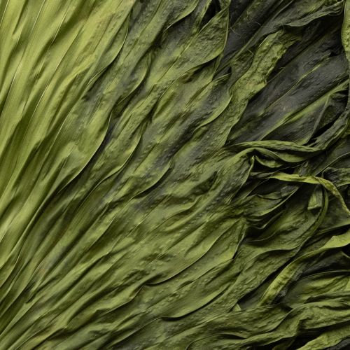 Floristik24 Palm fronds dried leaves decoration Saribus green 45cm 5 pcs