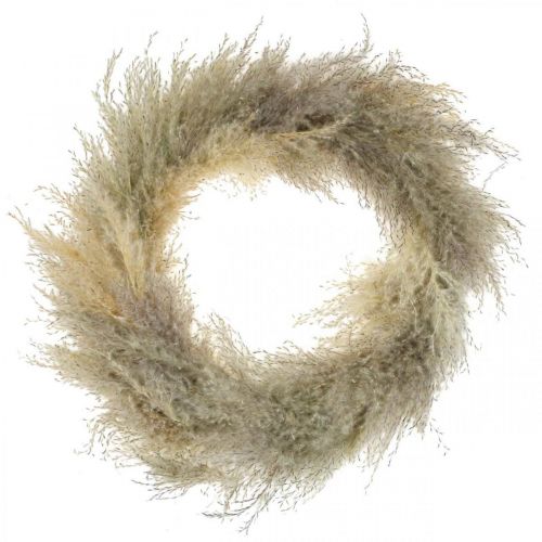 Floristik24 Pampas grass dried door wreath dried flower wreath Ø31cm