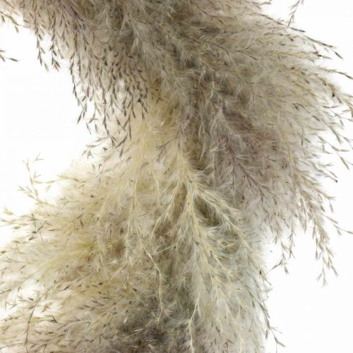 Product Pampas grass dried door wreath dried flower wreath Ø31cm