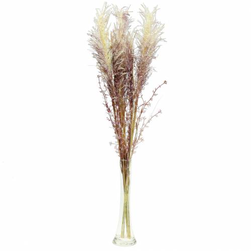 Product Pampas grass crème, violet Artificial dried flowers 3pcs