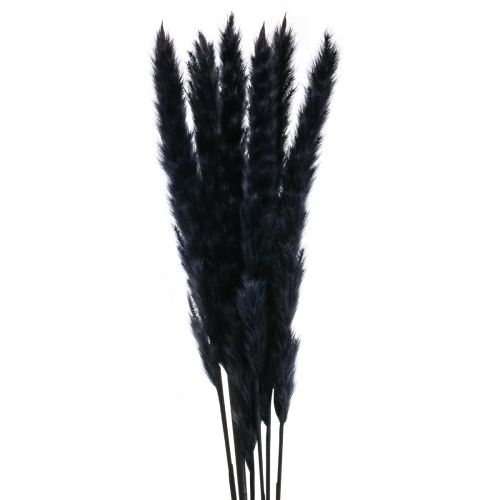 Product Pampas grass black dried dry decoration L72cm 6pcs