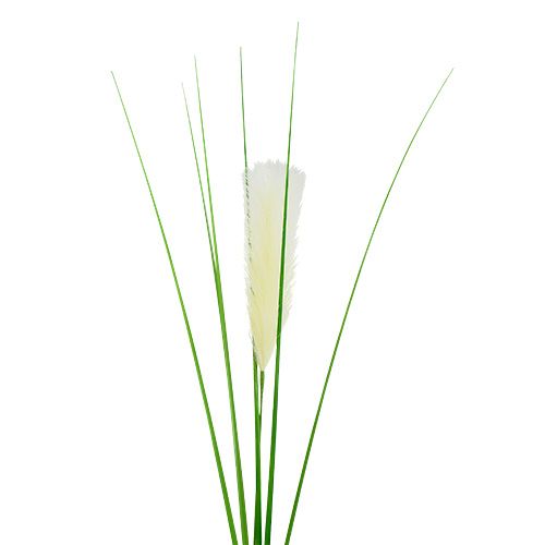 Floristik24 Pampas grass frond cream-green H100cm