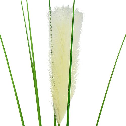 Product Pampas grass frond cream-green H100cm