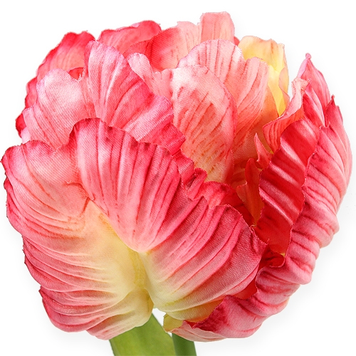 Floristik24 Parrot Tulip Pink 71cm 3pcs