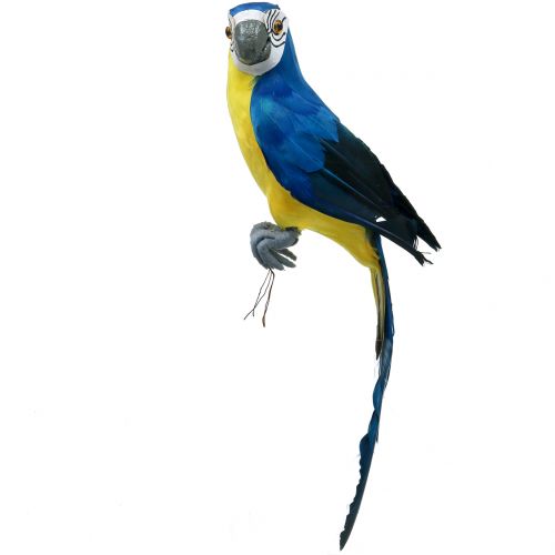 Floristik24 Deco Parrot Blue 44cm