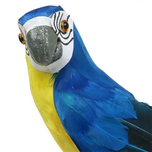 Floristik24 Deco Parrot Blue 44cm
