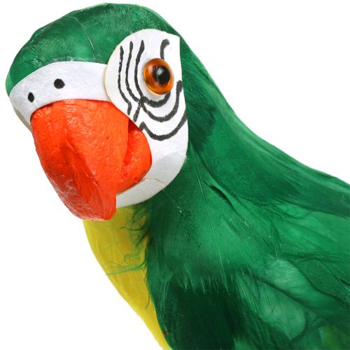 Product Deco Parrot Green 44cm
