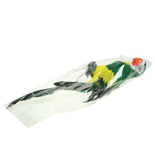 Floristik24 Deco Parrot Green 44cm