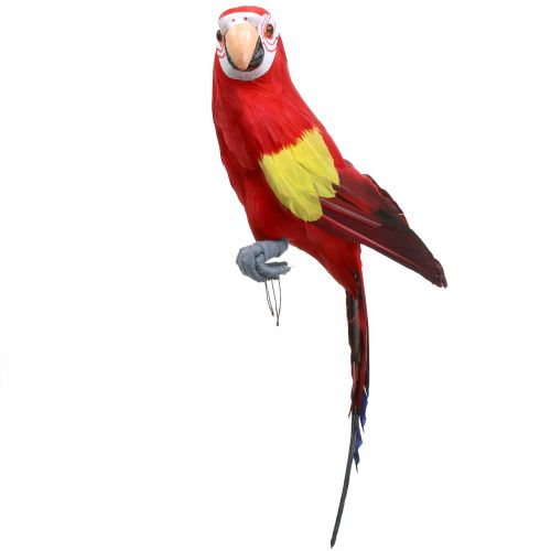 Deco parrot red 44cm