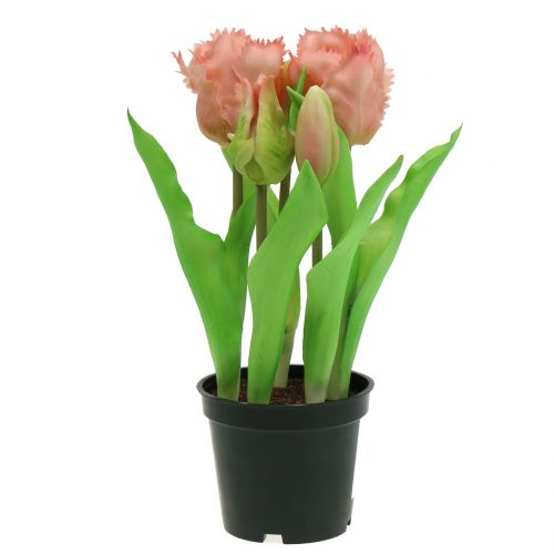 Floristik24 Parrot Tulip Real-Touch in Pot Pink 23cm