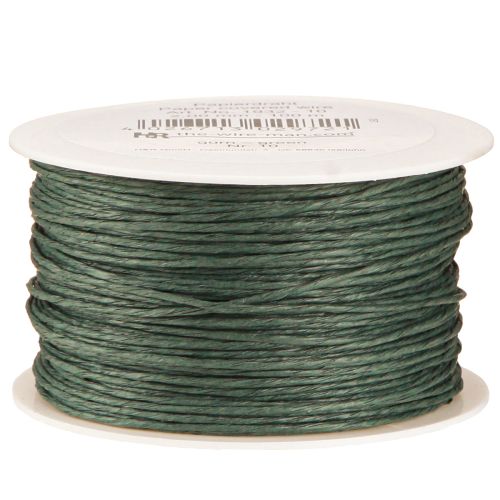 Floristik24 Paper cord wire wrapped Ø2mm 100m Green