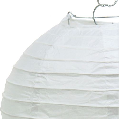 Floristik24 Paper Lantern White Ø30cm