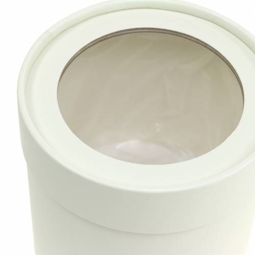 Product Flower box round cardboard cream Ø10/12cm set of 2