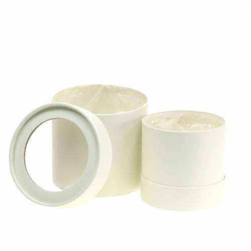 Floristik24 Flower box round cardboard cream Ø10 / 12cm set of 2