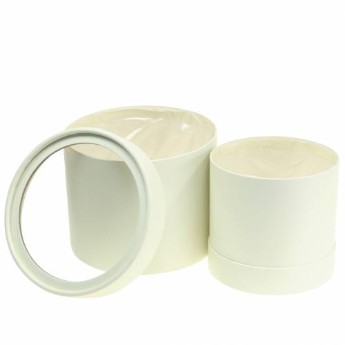 Floristik24 Flower box round cardboard cream Ø12.5/16cm set of 2
