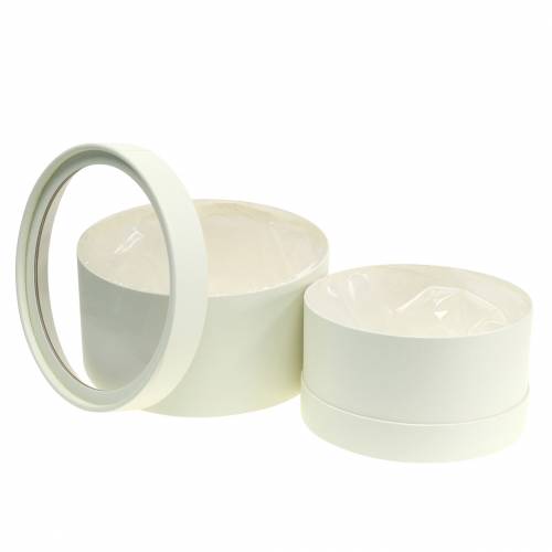 Flower box round cardboard cream Ø15.5/19cm set of 2