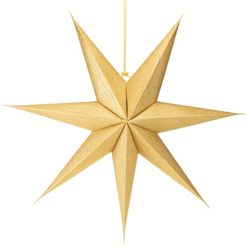 Floristik24 Gold paper star for lighting up, Christmas star paper Ø60cm