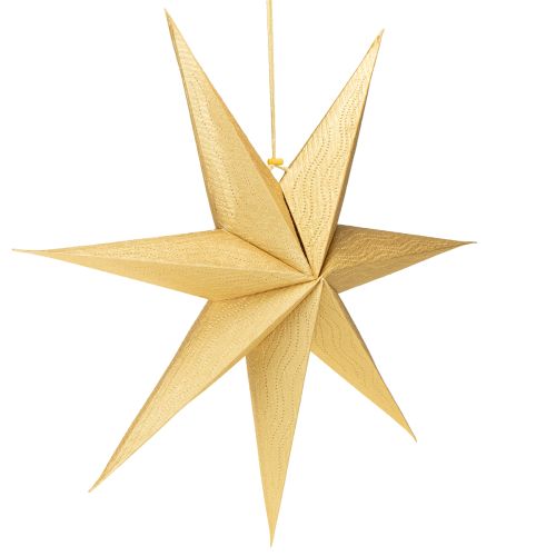 Product Gold paper star for lighting up, Christmas star paper Ø60cm
