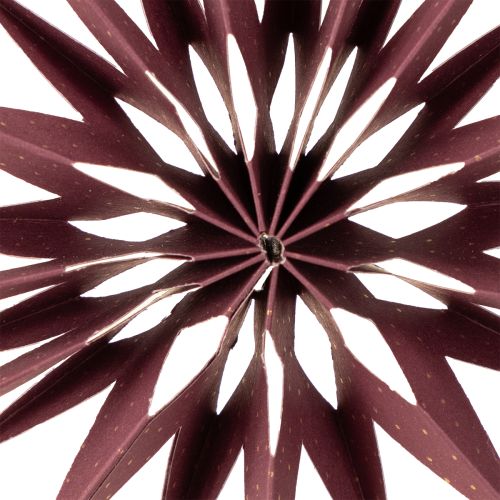 Product Paper stars, Bordeaux pink, for hanging, Ø10cm, 4 pieces